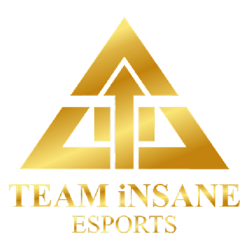 Teaminsane Esport Jersey Logo